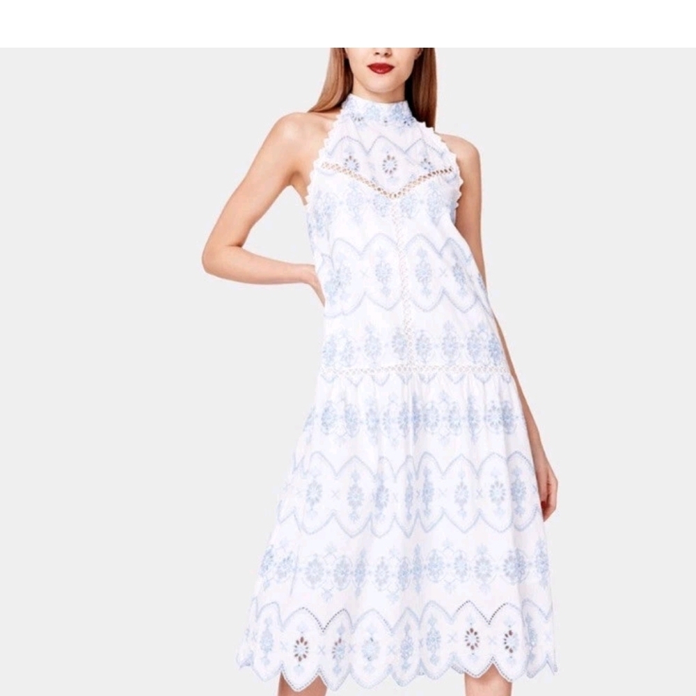 Betsey Johnson Blue Floral Maxi Dress Size 8  [1224]